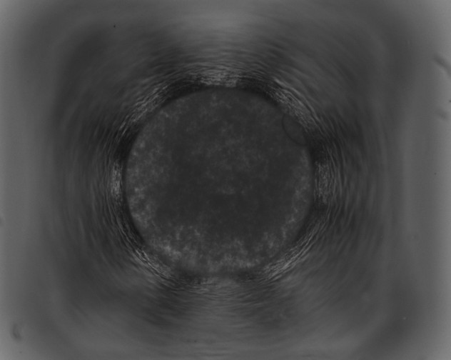 X0000097501154200803201546
