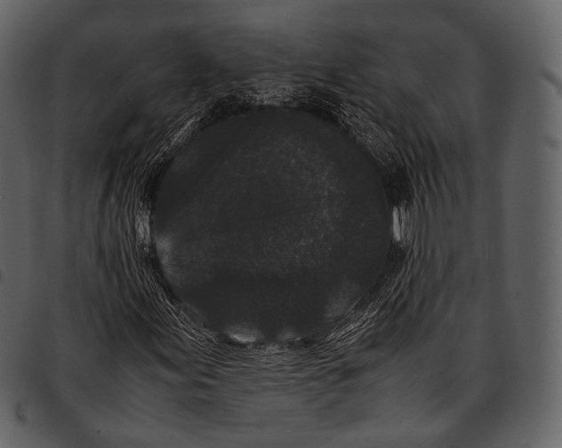X0000097501155200803201546
