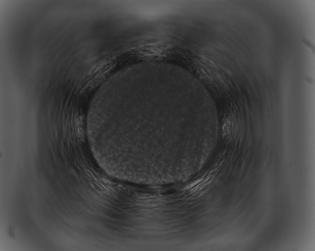 X0000097501156200803201546
