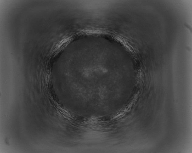 X0000097501157200803201546
