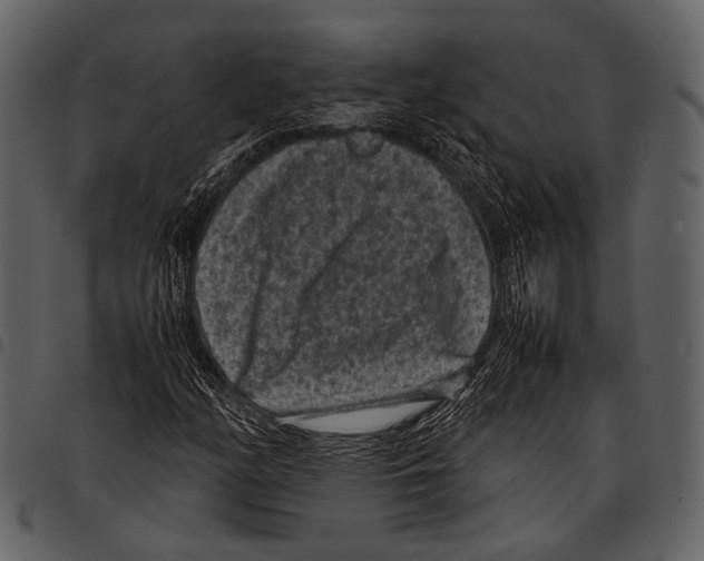 X0000097501158200803201546