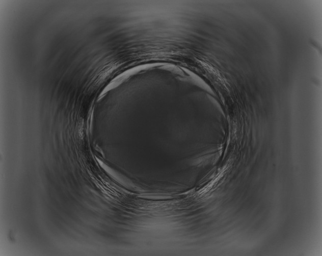 X0000097501161200803201546