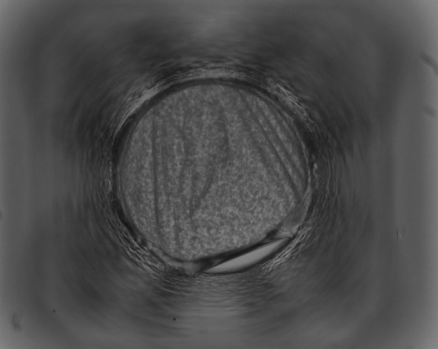 X0000097501165200803201546