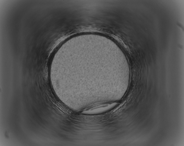 X0000097501167200803201546