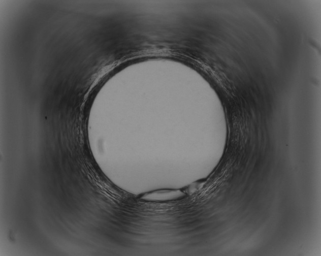 X0000097501168200803201546