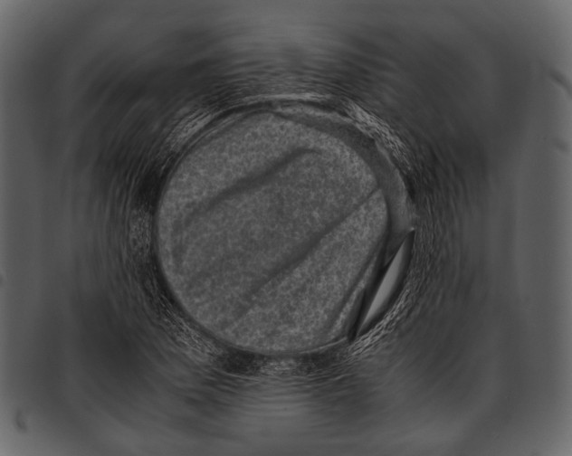 X0000097501169200803201546