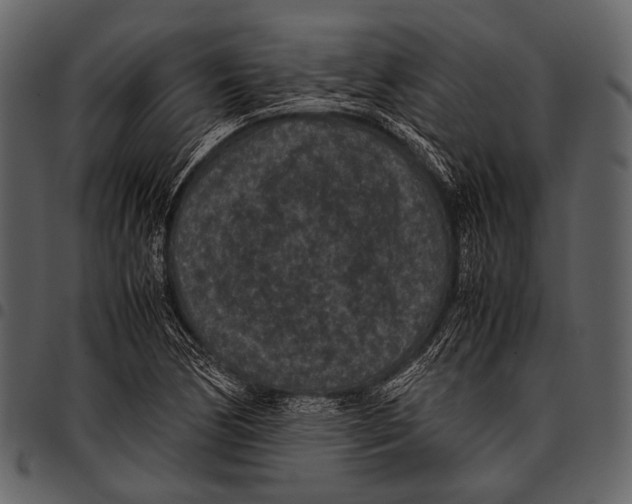X0000097501170200803201546