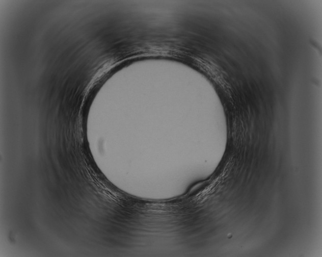 X0000097501172200803201546