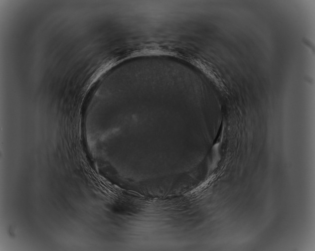 X0000097501173200803201546