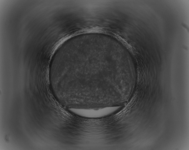 X0000097501174200803201546