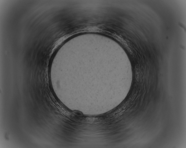 X0000097501176200803201546