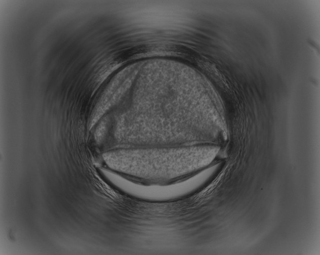 X0000097501177200803201546