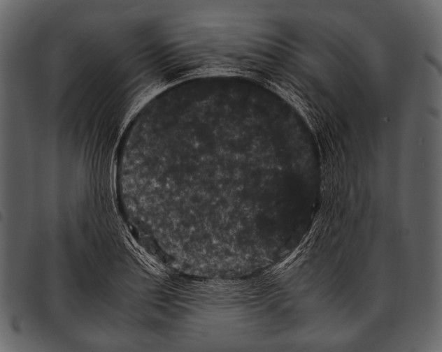 X0000097501179200803201546