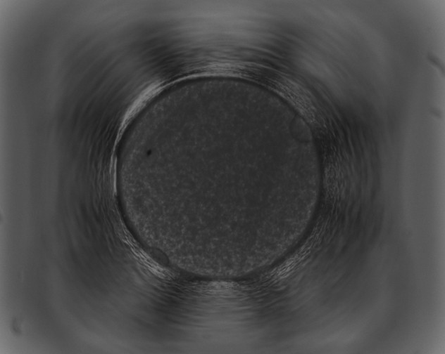 X0000097501180200803201546