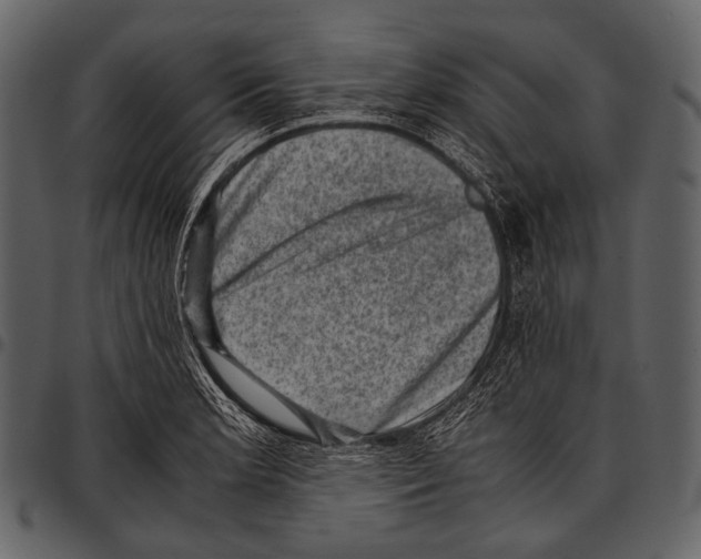 X0000097501181200803201546