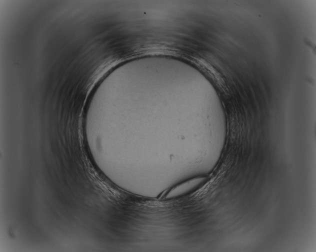 X0000097501182200803201546