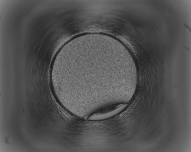 X0000097501183200803201546