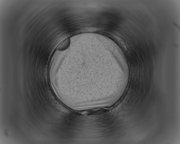 X0000097501186200803201546