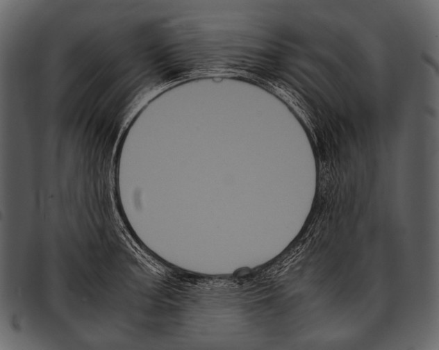 X0000097501187200803201546