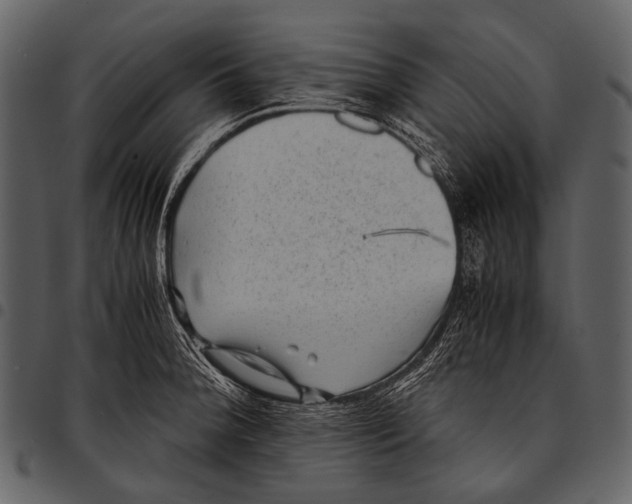 X0000097501188200803201546