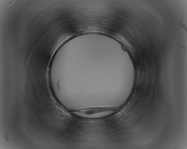 X0000097501190200803201546