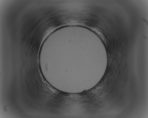 X0000097501191200803201546