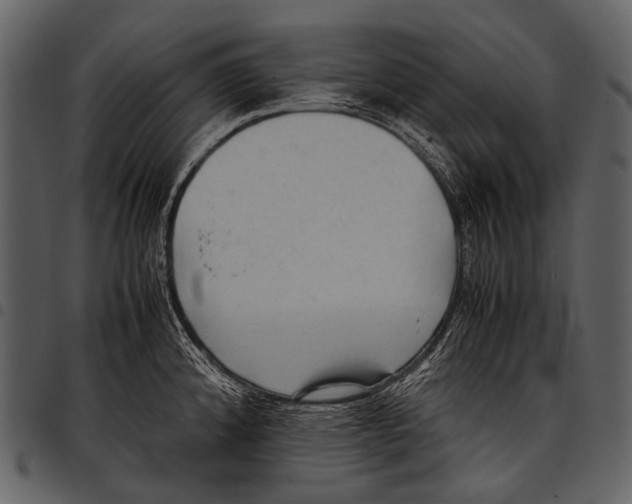 X0000097501192200803201546