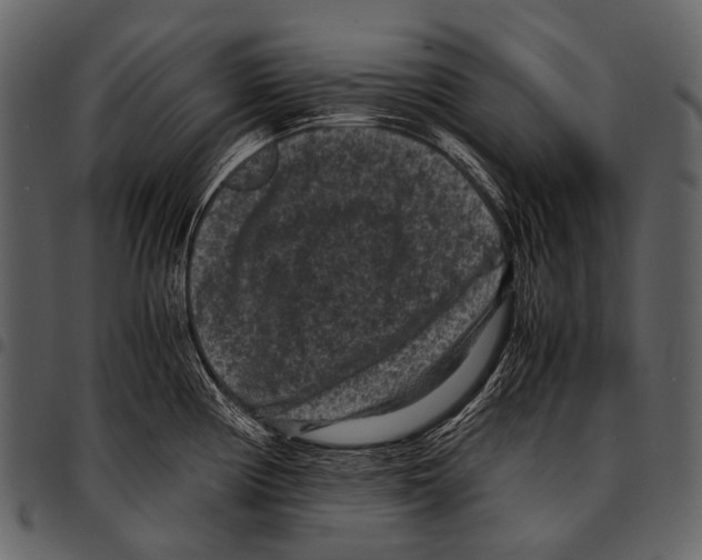 X0000097501194200803201546