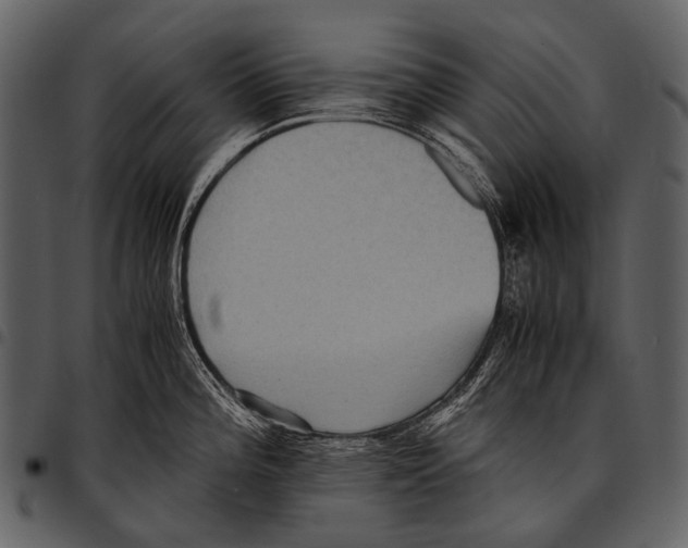 X0000097501196200803201546