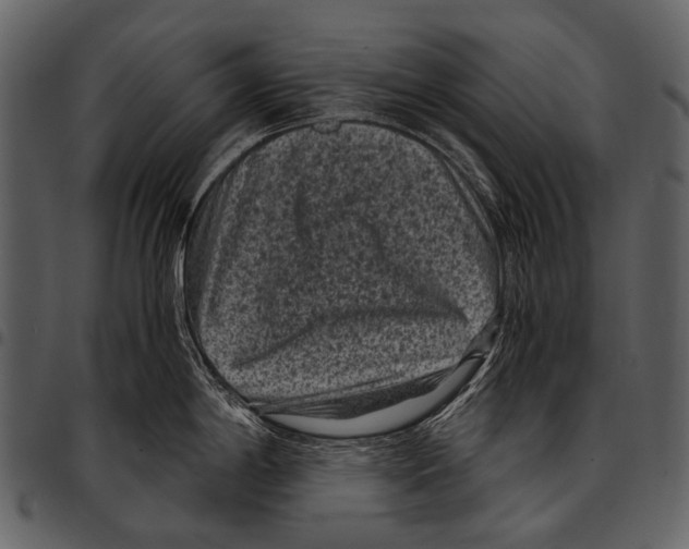 X0000097501198200803201545