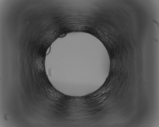 X0000097501202200803201545