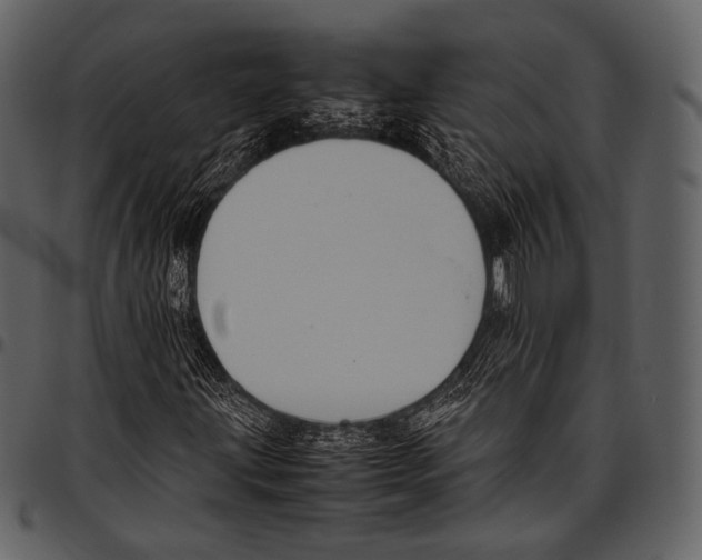 X0000097501203200803201545