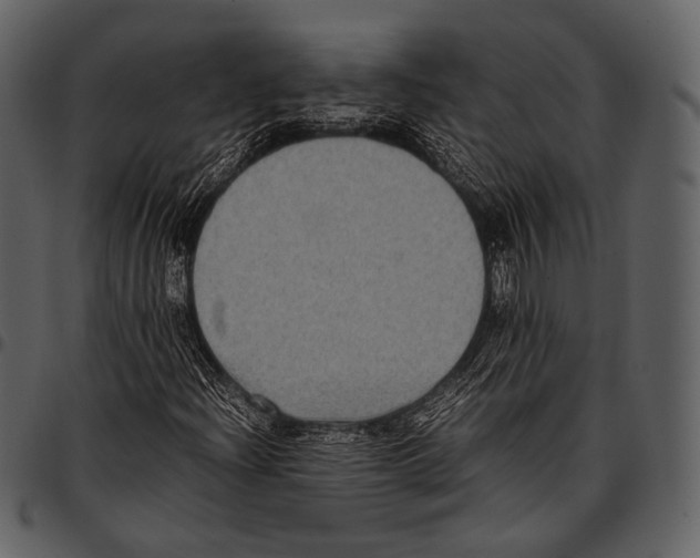 X0000097501204200803201545
