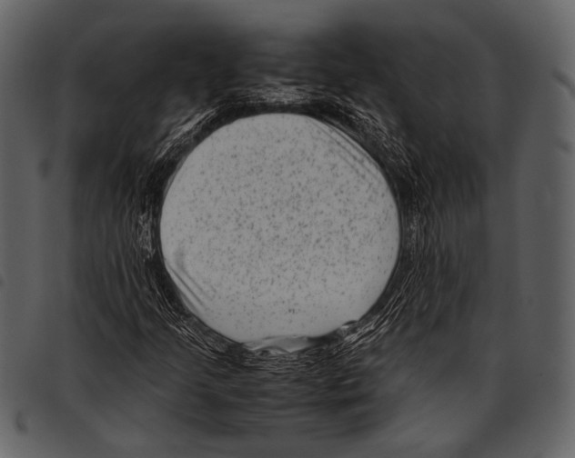 X0000097501205200803201545