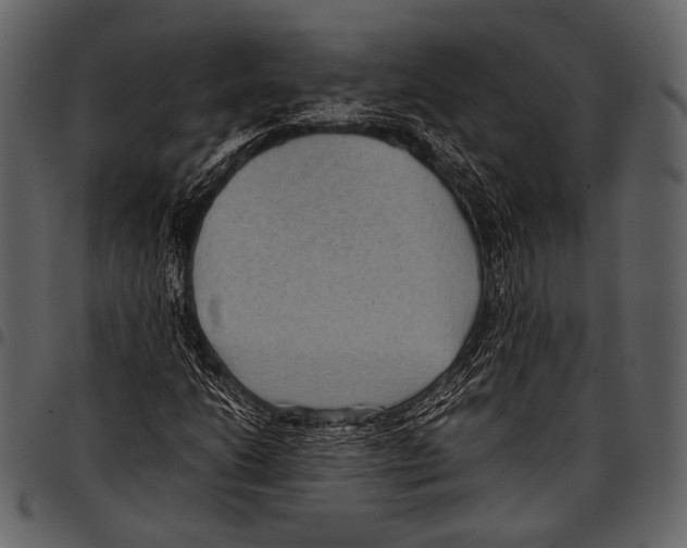 X0000097501206200803201545