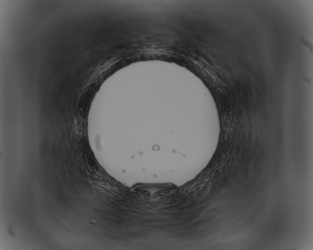 X0000097501207200803201545