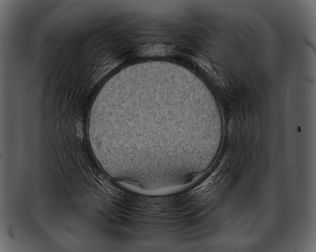 X0000097501209200803201545
