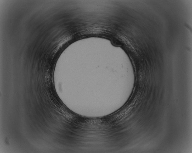 X0000097501210200803201545