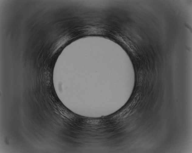 X0000097501211200803201545