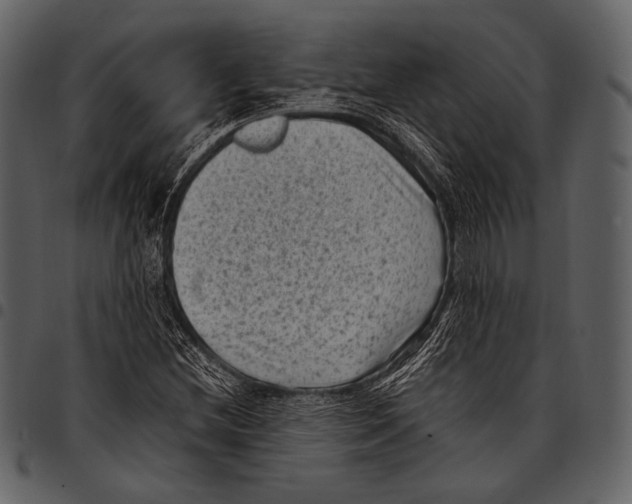 X0000097501212200803201545