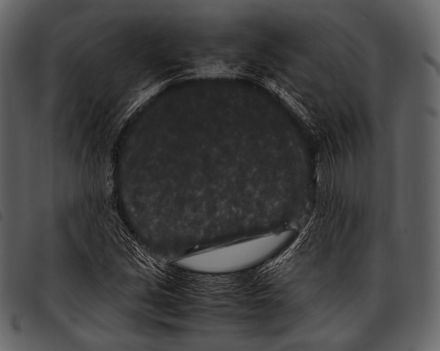 X0000097501213200803201545