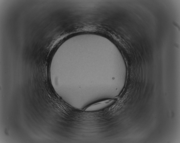 X0000097501214200803201545