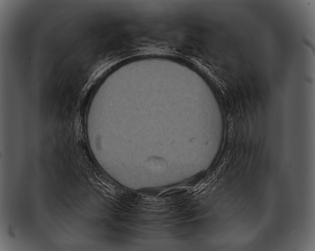 X0000097501215200803201545