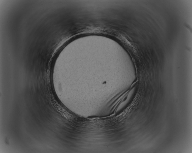 X0000097501216200803201545