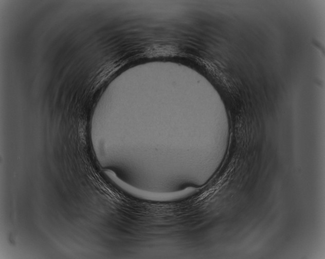 X0000097501217200803201545