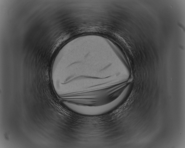 X0000097501218200803201545