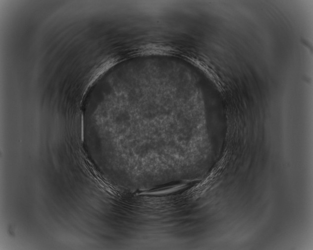 X0000097501219200803201545