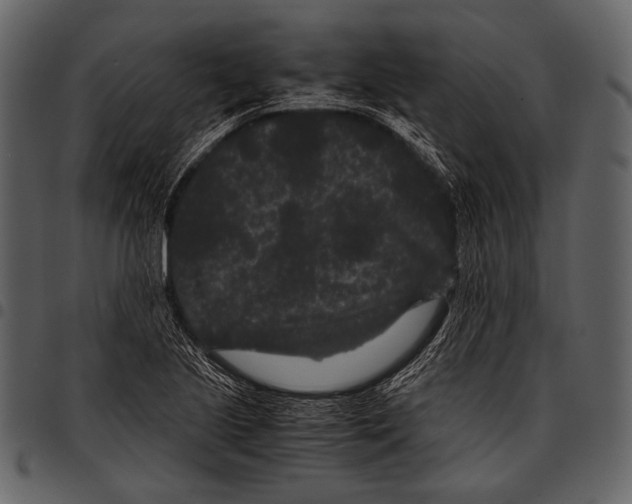 X0000097501221200803201545