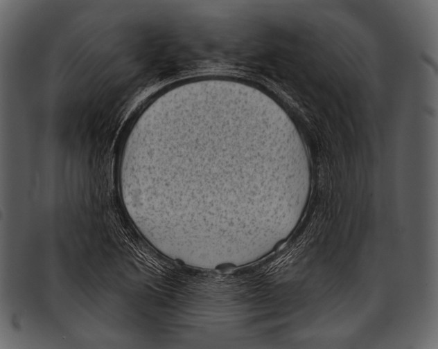 X0000097501222200803201545