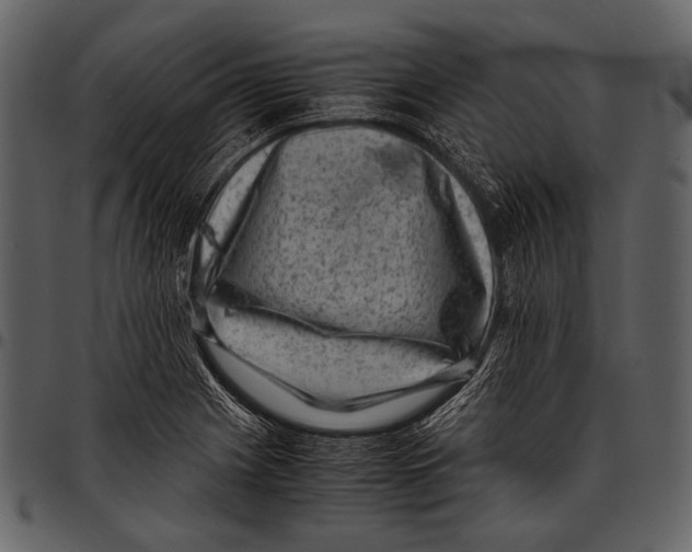 X0000097501225200803201545